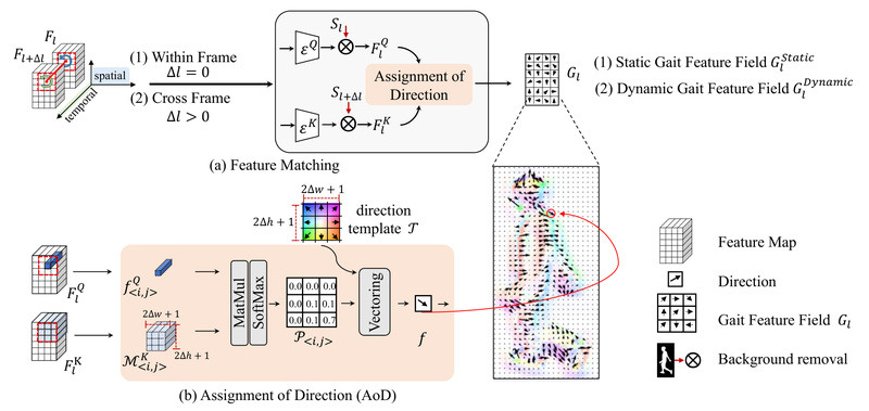 OpenGait: High-Accuracy, Open-Source Gait Recognition That Filters Out Clothing, Backgrounds, and Noise